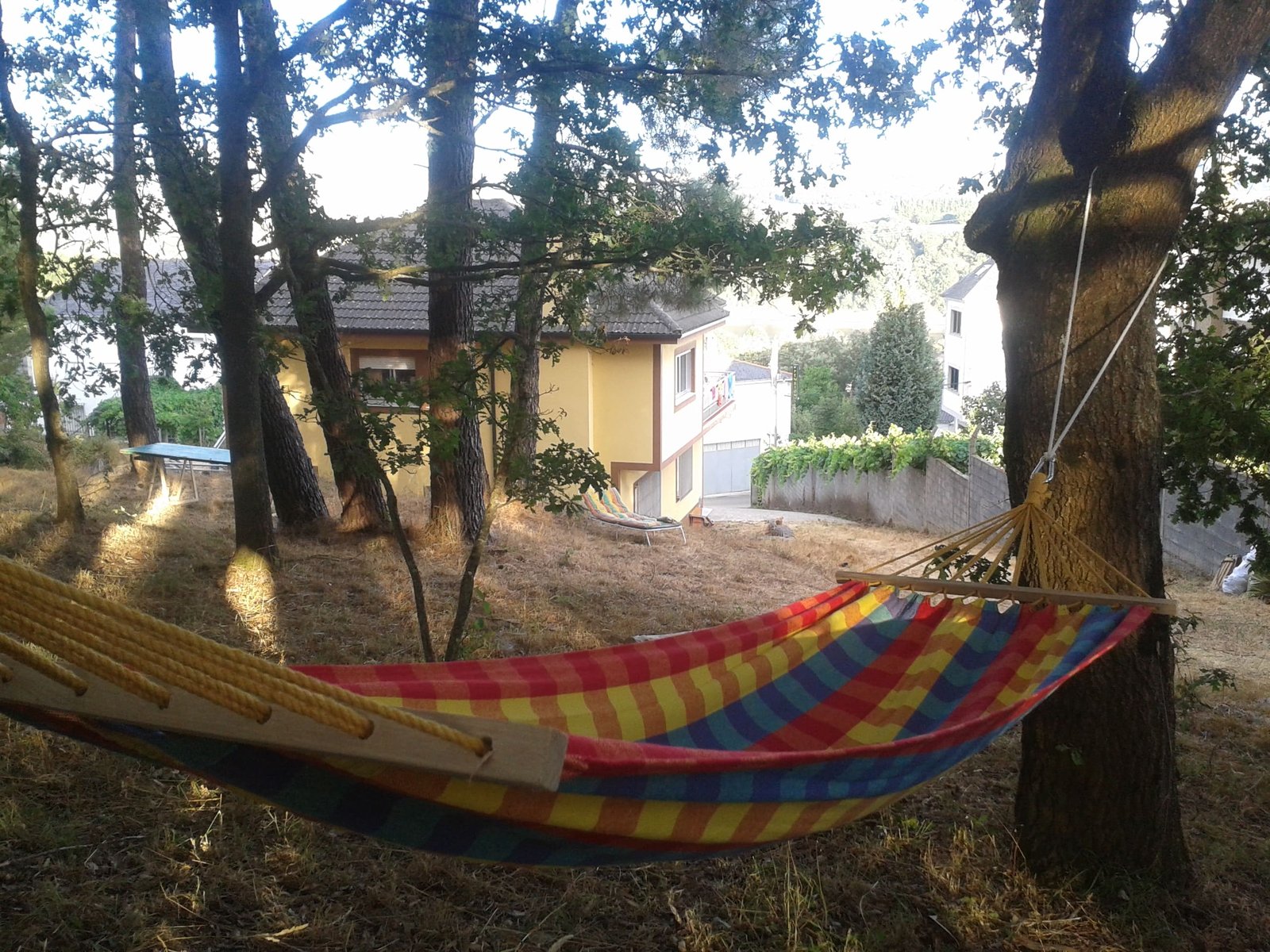 Jardín y zona exterior